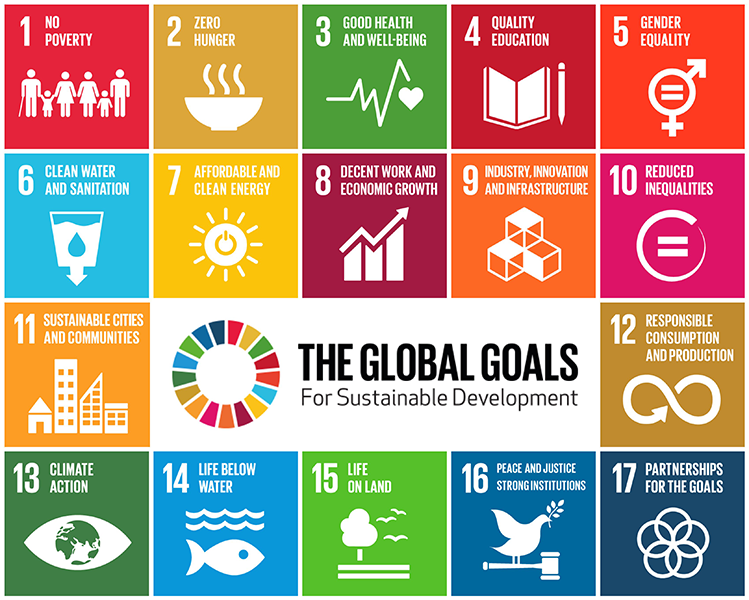 The 17 global goals for sustainable development: no poverty, zero hunger, good health and wellbeing, quality education, gender equality, clean water and sanitation, afforddable and clean energy, decent work and economic growth, industry innovation and infrastructure, reduced inequalities, sustainable cities and communities, responsible consumption and production, climate action, life below water, life on land, peace and justice strong institutions, partnerships for the goals