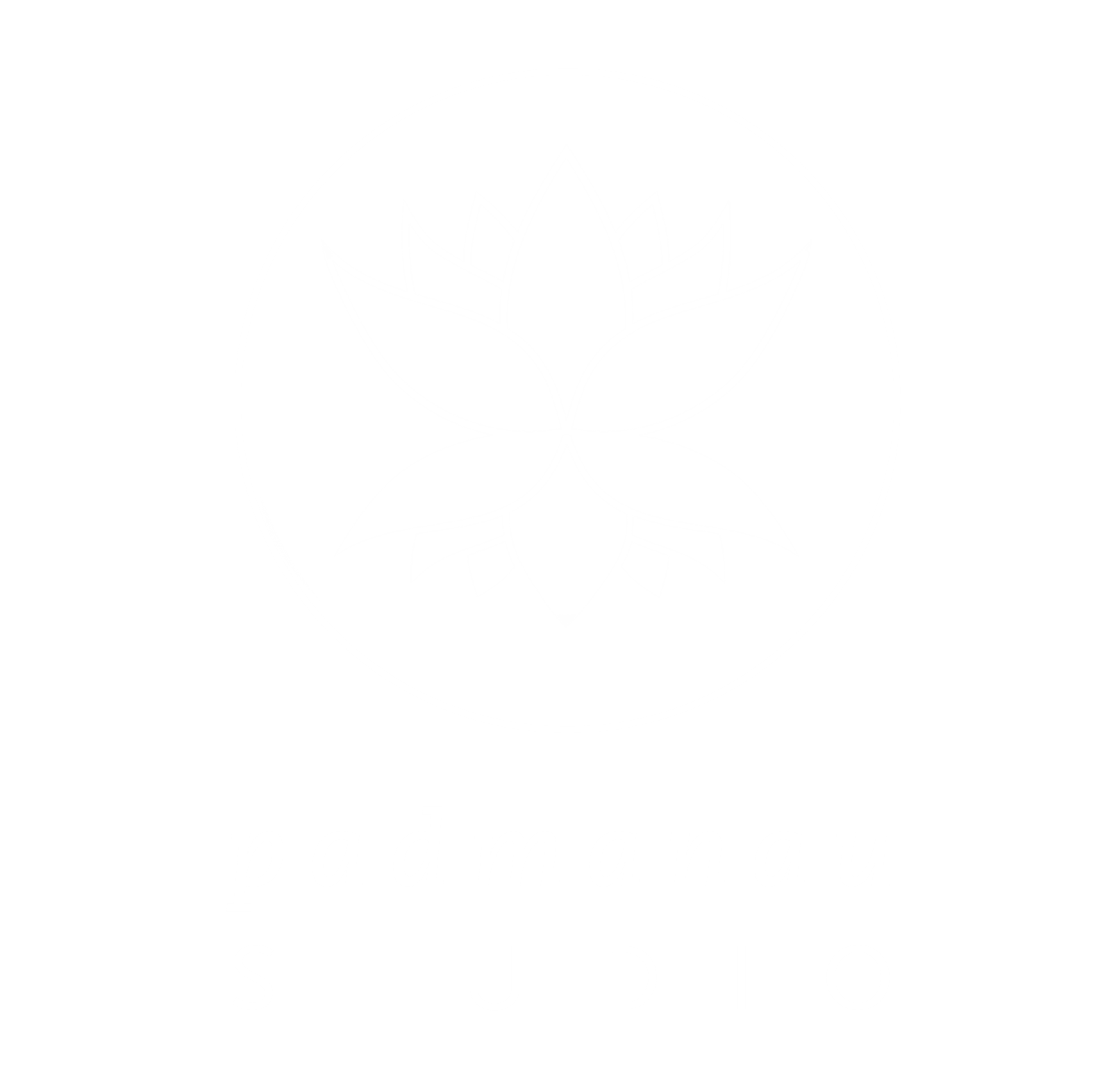 Padmanau Studio